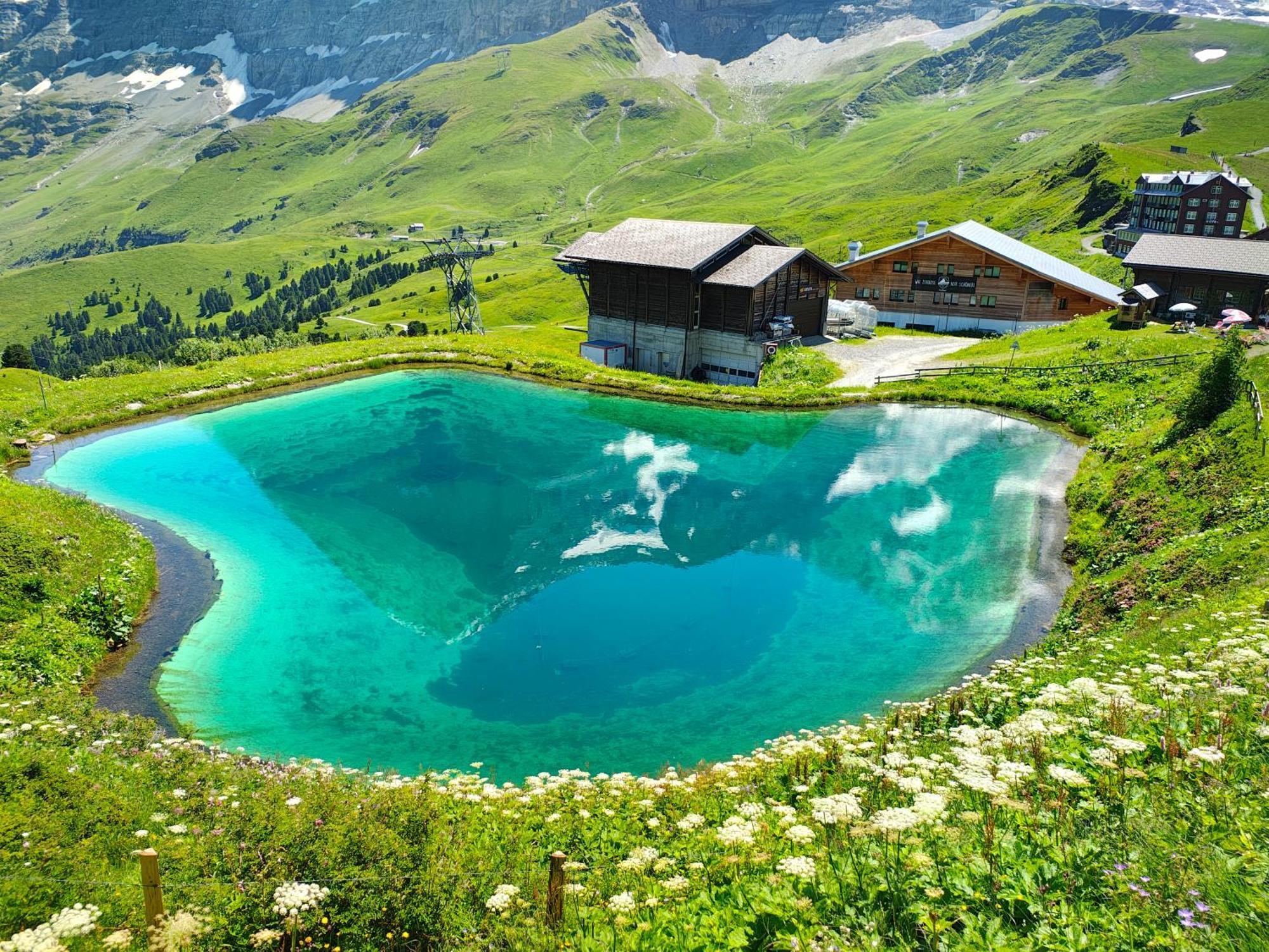 Chalet Schwendiboden Grindelwald Exterior foto